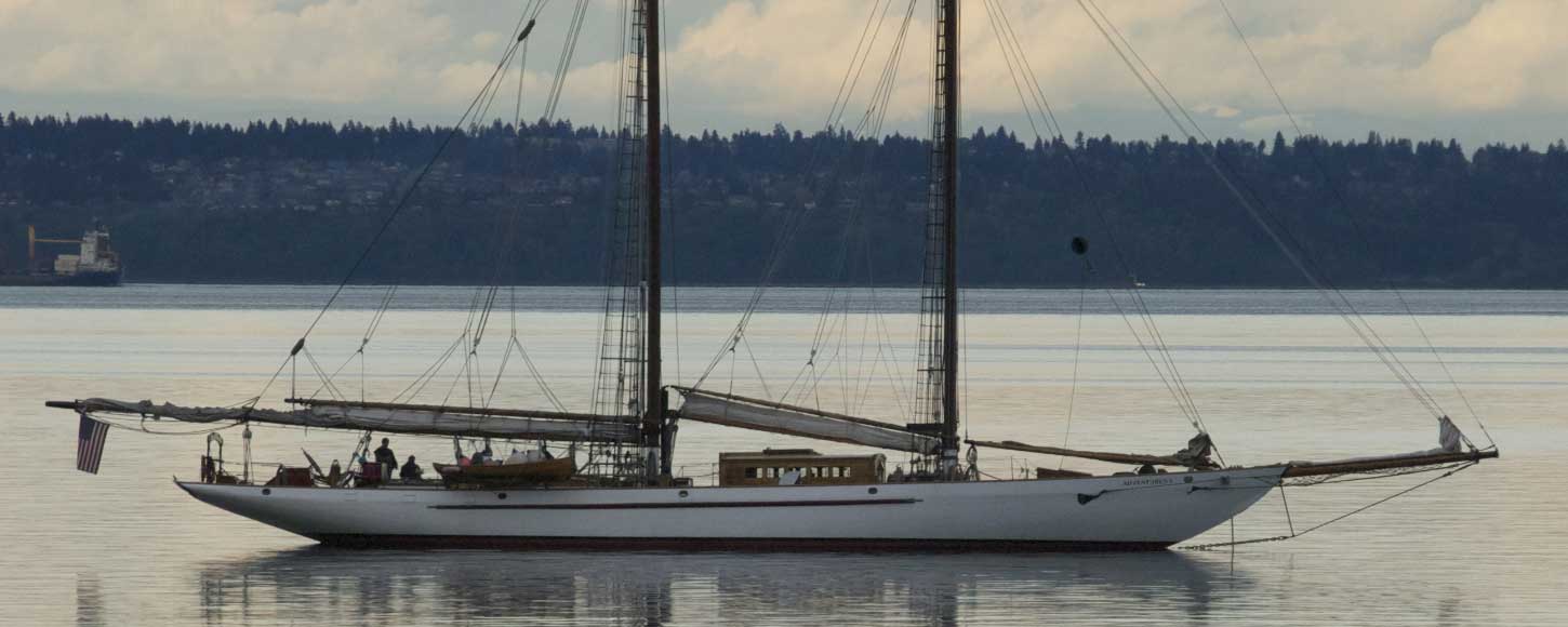 A Time for Healing Gale Leadership Development